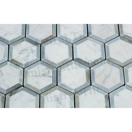 2x2 Polished Carrara Vortex Gray Hexagon Mosaic Perspective View