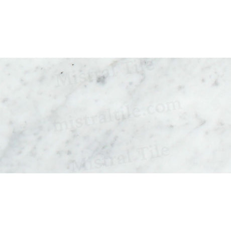 Bianco Carrara Marble 12x24 HonedTile