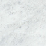 12x12 Honed Bianco Carrara Marble Tile Large