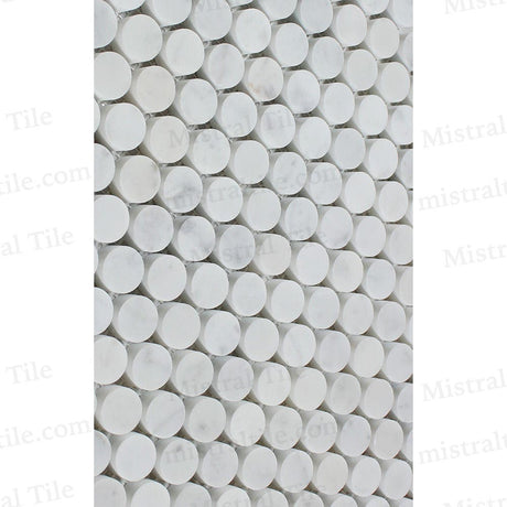 Honed Bianco Carrara Marble Penny Round Mosaic Tile Detail