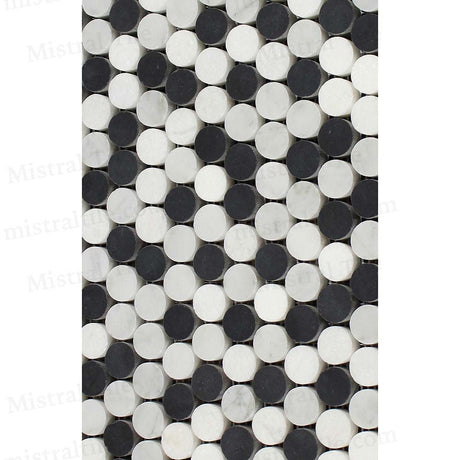 Polished Bianco Carrara-Thassos White and Black Marble Penny Round Mosaic wall