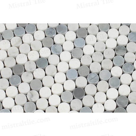 Polished Bianco Carrara, Thassos White and Blue Gray Mix Penny Round Mosaic Tile